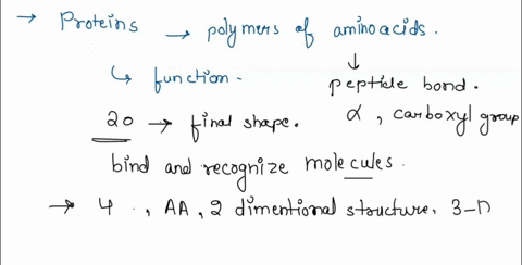 unlike-carbohydrates-nucleic-acids-and-lipids-proteins-have-diverse-functions-in-a-cell-proteins-are-polymers-of-the-same-subunits-amino-acids-discuss-how-the-structure-of-amino-acids-allows-37845