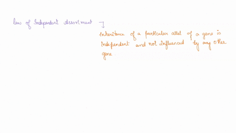 what-is-the-difference-between-crossing-over-and-independent-assortment-crossing-over-happens-within-a-palr-of-homologous-chromosomes-independent-assortment-invalves-multiple-pairs-crossing-10389