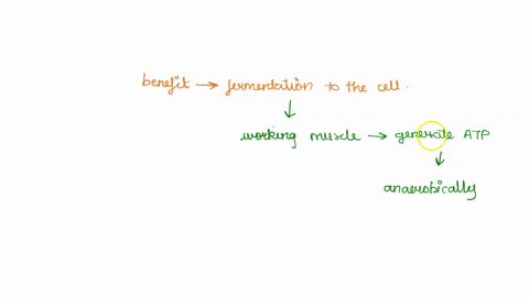 what-is-the-main-benefit-of-fermentation-to-the-cell-to-replenish-the-nad-supply-to-produce-more-atp-after-glycolysis-to-produce-the-lactic-acid-required-by-the-cell-to-allow-humans-to-breat-51963