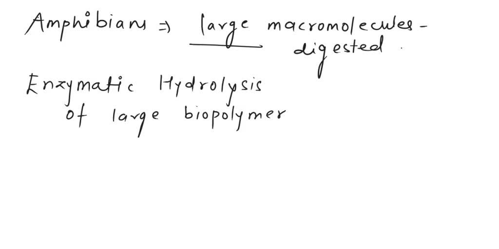 SOLVED: 17. In amphibians (frogs and toads), the process of digestion