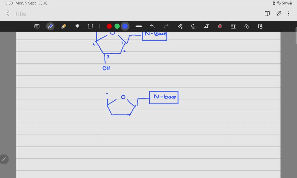 SOLVED: 3 Nucleotides Are Added To The 3' End Of A Growing DNA Polymer ...