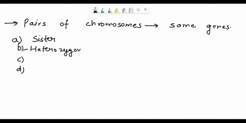 question-1-pairs-of-chromosomes-which-contain-the-same-genes-are-called-a-sister-chromatilders-15heterozygous-chromosomes-homophylous-alleles-dhomologous-chromosomes-question-2-true-or-false-08704
