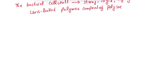 question-8-the-unique-macromolecule-peptidoglycan-found-in-bacterial-cell-walls-is-a-relatively-stable-structure-of-repeating-polymer-chains-that-are-cross-linked-by-these-chains-peptides-b-60776