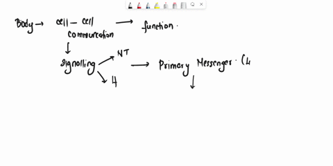 which-of-the-following-activates-a-second-messenger-a-hormonereceptor-complex-b-calcium-ions-c-inosi-09034