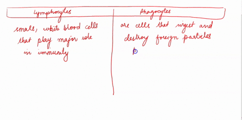 phagocytes-and-lymphocytes-are-both-present-in-samples-of-blooda-describe-how-the-structure-of-a-phagocyte-differs-from-the-structure-of-a-lymphocytet-lymphocytes-are-involved-in-immune-resp-26958