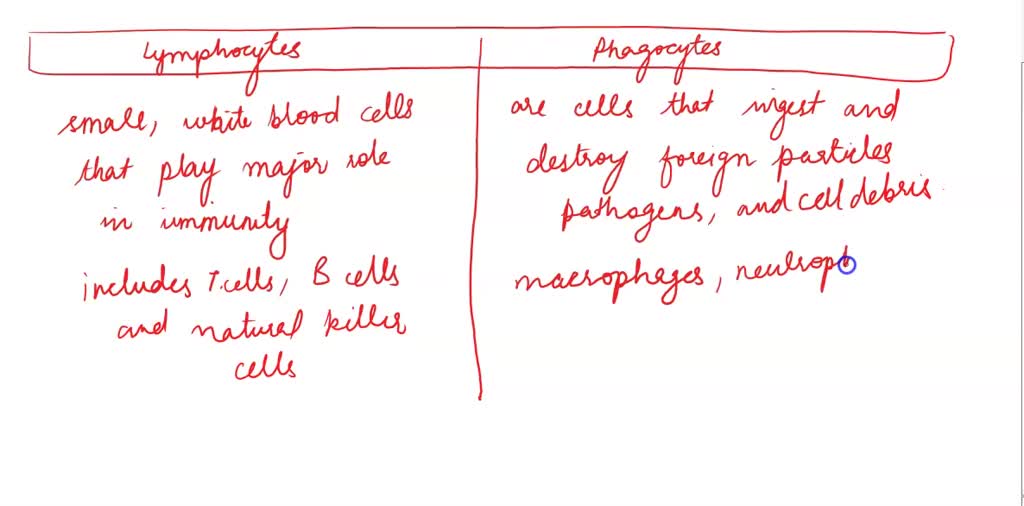 SOLVED: Phagocytes and lymphocytes are both present in samples of blood ...