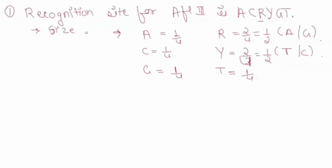 the-restriction-enzyme-afilii-cuts-at-the-sequence-acrygt-where-r-indicates-any-purine-base-and-y-indicates-any-pyrimidine-base-for-a-genome-with-equal-representation-of-all-four-bases-_-wha-48825