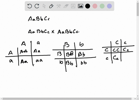 given-a-parent-plant-with-the-genotype-aabbcc-is-mated-with-a-plant-with-genotype-aabbcc-what-is-the-probability-of-an-f1-offspring-with-the-genotype-aabbcc-express-your-answer-as-a-percent-70234