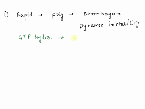 what-roles-does-the-gtp-play-in-dynamic-instability-of-the-microtubules-and-what-would-happen-if-gtp-is-lost-completely-inside-a-cell-88637