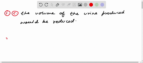 1-in-the-presence-of-antidiuretic-hormone-adh-a-glucose-would-be-excreted-with-the-urine-b-the-glomerular-filtration-rate-would-increase-c-the-volume-of-the-urine-produced-would-be-reduced-d-33723