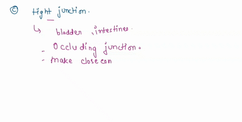 the-cells-making-up-the-epithelial-linings-of-organs-that-contain-liquid-eg-the-bladder-and-intestines-could-be-expected-to-be-held-together-via-many-in-order-to-provide-a-waterproof-lining-68629