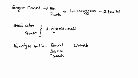 gregor-mendel-used-pea-plants-that-were-heterozygous-for-each-of-two-traits-7-329-1051-pm-tue-apr-30-ro7corelearn_-edgenuity-com-english-daniel-ezedi-ralc-cr-biology-b-activity-enotcs-unit-t-14098