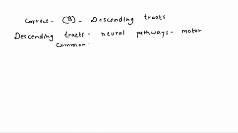 question-73-what-carries-motor-commands-from-the-brain-along-the-spinal-cord-a-spinal-nerves-b-descending-tracts-c-ascending-tracts-d-both-ascending-and-descending-tracts-e-none-of-the-these-93998