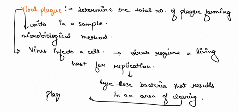 consider-a-population-of-100-individuals-and-the-frequency-of-the-a-allele-is-08-and-the-frequency-of-the-a-allele-is-02-if-the-following-fitness-values-for-each-genotype-are-applied-to-the-84595