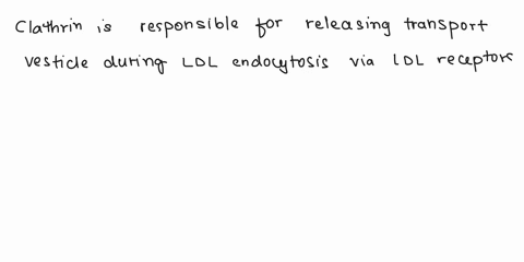1-a-what-is-the-molecule-responsible-for-the-release-of-transport-vesicles-and-describe-its-function-in-the-endocytosis-of-ldl-via-ldl-receptors-b-comment-on-how-inhibition-of-the-molecule-i-83484