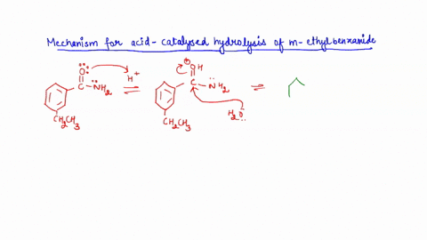 1-6-pts-provide-the-complete-mechanism-using-curved-arrow-formalism-for-the-reaction-of-m-ethylbenzamide-undergoing-acid-catalyzed-hydrolysis-state-which-layer-aqueous-or-organic-the-product-48326