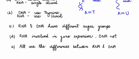 all-of-the-following-are-differences-between-dna-and-rna-except-a-dna-is-double-stranded-rna-is-single-stranded-b-dna-uses-thymine-rna-uses-uracil-c-rna-and-dna-nucleotides-have-dilferent-su-11812