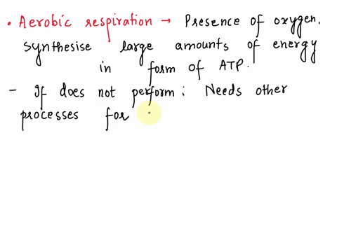 explain-why-it-is-important-to-know-if-a-bacteria-does-aerobic-respiration-anaerobic-respiration-andor-fermentation-65167