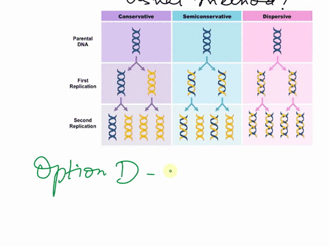 the-usual-method-of-dna-replication-is-a-conservative-b-dispersive-c-non-conservative-d-semi-conservative-94887