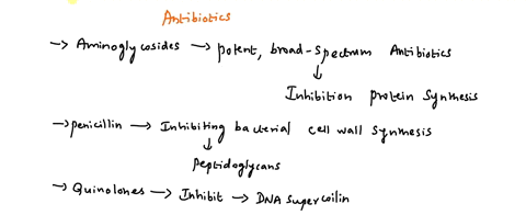 which-group-of-antibiotics-block-may-prevent-peptidoglycan-synthesis-in-bacteria-which-group-of-antibiotics-block-may-prevent-protein-synthesis-in-bacteria-which-group-of-antibiotics-block-d-18103