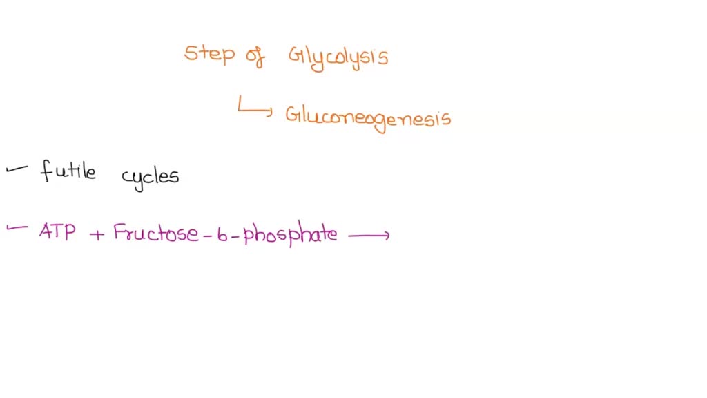 SOLVED: Which Of The Steps In Glycolysis Form Substrate Cycles In ...