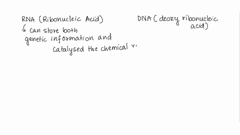 what-can-rna-do-that-dna-cannot-that-makes-rna-a-good-starting-point-for-life-87154