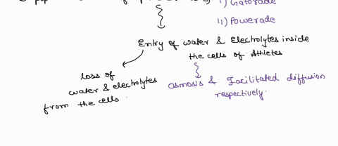 task-3-sports-and-cellular-biology-reflect-on-the-research-and-six-hats-thinking-process-you-worked-through-at-the-end-of-unit-1-learning-activity-07-using-the-research-you-completed-you-wil-27524