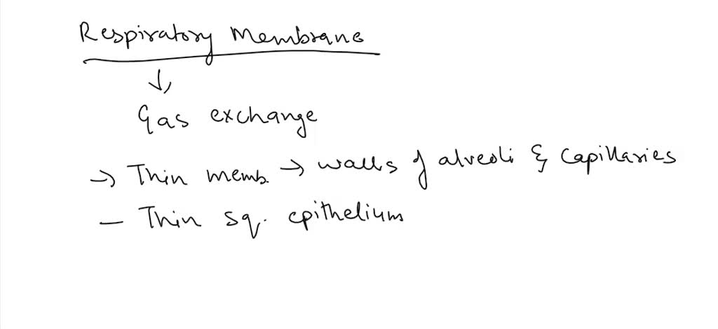 SOLVED: QUESTION 16 The respiratory membrane Includes which of the ...