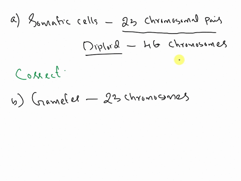 which-of-the-following-statements-concerning-chromosomal-distribution-is-incorrect-a-all-human-somat-33397