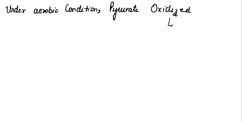 1-in-eukaryotes-pyruvate-is-further-metabolized-via-three-main-catabolic-pathways-circle-the-following-correct-statements-i-under-anaerobic-conditions-pyruvate-is-oxidized-leading-to-the-for-26305