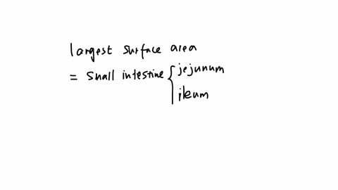 what-has-the-largest-surface-area-stomach-duodenum-jejunum-and-ileum-colon