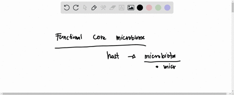 defining-the-functional-core-microbiome-rather-than-simply-characterizing-each-microorganism-attempts-to-________-group-of-answer-choices-1-describe-the-holistic-benefits-provided-to-the-hos-32522