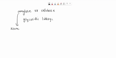 glycosidic-bond-what-type-of-glycosidic-linkage-is-shown-below-oh-ho-oh-polysaccharides-identify-the-molecules-as-either-amylose-or-cellulose-based-on-their-glycosidic-linkage-choh-cnou-name-45409