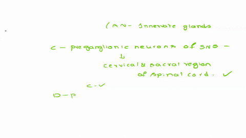 1-choose-the-correct-statements-about-the-autonomic-nervous-system-ans-a-autonomic-neurons-do-not-innervate-skeletal-muscle-cells-b-autonomic-neurons-do-not-innervate-glands-c-the-preganglio-84707