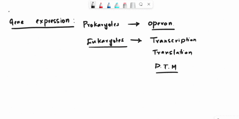 gene-expression-can-be-controlled-at-many-levels-in-eukaryotes-where-is-most-of-the-control-exerted-a-transcription-b-rna-processing-c-translation-d-post-translational-control-of-protein-fun-64376