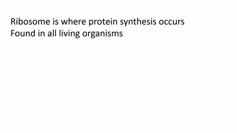queston-12-why-is-ribosomal-rna-especially-useful-for-the-study-of-phylogenetic-relationships-its-function-differs-in-different-organisms-it-is-extremcly-short-itis-highly-conscrvcd-itis-onl-81956