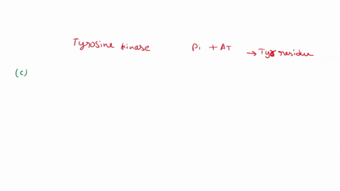please-answer-c-and-d-only-i-need-it-asap-only-one-q-left-ill-rate-fast-suppose-that-a-protein-tyrosine-kinase-e-catalyzes-a-reaction-with-the-kinetic-mechanism-shown-below-in-which-a-phosph-30888