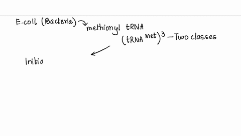 e-coli-has-two-trnas-for-methionine-what-is-the-basis-for-the-distinction-between-the-two-03117