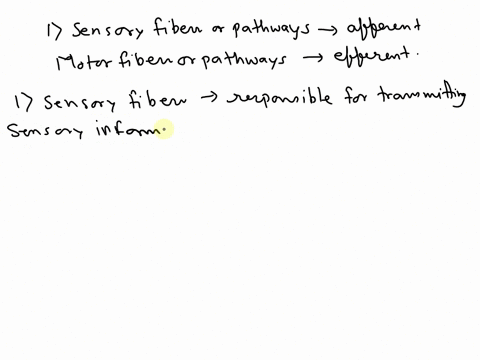sensory-fibers-or-pathways-are-referred-to-as-afferent-motor-fibers-or-pathways-are-referred-to-as-efferent-what-can-you-infer-about-the-meaning-of-these-two-terms-afferent-and-efferent-in-a-25457