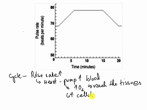 devpal-rides-a-bicycle-for-15-minutes-and-then-stops-the-graph-below-shows-how-his-pulse-changes-as-he-cycles-after-he-stops-cycling-how-many-minutes-does-it-take-his-pulse-rate-to-come-back-67625