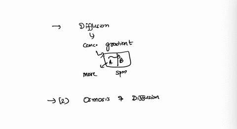 1-toward-what-condition-does-diffusion-eventually-lead-in-the-absence-of-other-influences-2-how-is-osmosis-related-to-diffusion-3-if-the-concentration-of-solute-molecules-outside-a-cell-is-l-62502