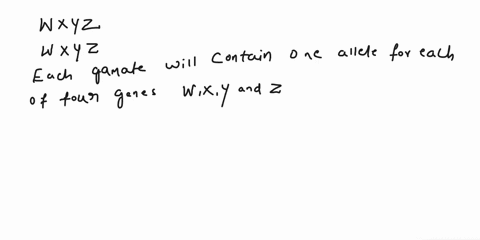 what-kind-of-gametes-can-be-produced-by-a-parent-with-the-genotype-wwxxyyzz-please-be-sure-to-use-correct-capitalization-32238