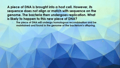 a-piece-of-dna-is-brought-into-a-host-cell-however-its-sequence-does-not-align-or-match-with-sequence-on-the-genome-the-bacteria-then-undergoes-replication-what-is-likely-to-happen-to-this-n-17534