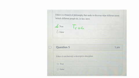 ethics-is-a-branch-of-philosophy-that-seeks-to-discover-what-different-moral-beliefs-different-people-do-in-fact-have-true-false-question-5-1-mathrmpts-ethics-is-exclusively-a-descriptive-discipline-t