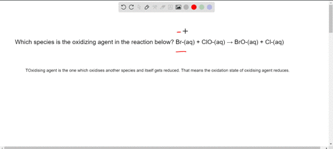 which-species-is-the-oxidizing-agent-in-the-reaction-below-br-aq-clo-aq-bro-aq-cl-aq-56572