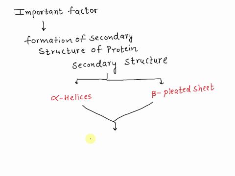 what-is-the-most-important-factor-that-drives-the-formation-of-secondary-structure-of-proteins-a-hydrophobic-residues-are-largely-buried-in-the-protein-interior-b-the-number-of-hydrogen-bond-38424