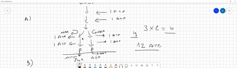 for-the-following-fill-in-the-requested-number-of-molecules-given-the-information-provided-use-numerical-digits-for-this-answer-eg-1-a-3-glucose-molecules-undergoing-glycolysis-only-how-many-98748