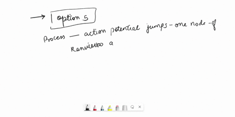 which-of-the-following-best-describes-saltatory-conduction-process-based-on-preventing-flow-of-k-across-neuronal-membranes-from-outside-to-inside-of-cell-enables-action-potential-to-jump-fro-57693