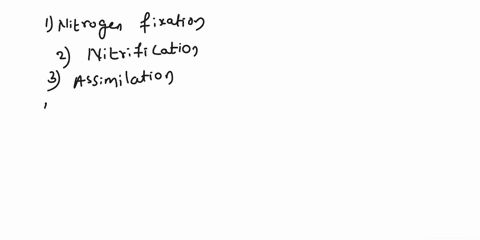 put-the-steps-of-the-nitrogen-cycle-in-order-starting-with-the-step-that-removes-nitrogen-from-the-atmospheren2-is-formed-via-denitrifying-bacterian2-molecules-break-apart-via-nitrogen-fixin-65701