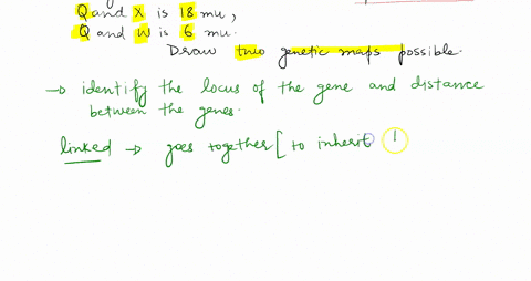 genes-q-x-w-are-all-linked-on-the-same-chromosome-dihybrid-test-crosses-reveal-that-the-map-distance-between-q-x-is-8-mu-and-the-distance-between-q-w-is-6-mu-draw-two-possible-genetic-maps-f-17272
